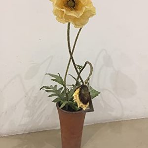 SIA - Vaso con Tulipano Giallo 60cm