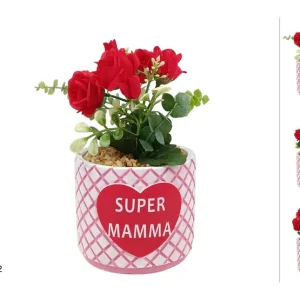 PIANTA CON ROSE FESTA DELLA MAMMA