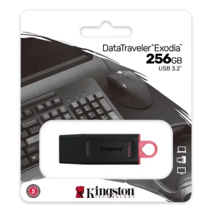 KINGSTON USB 256GB